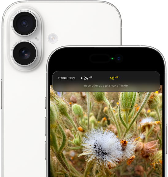 iPhone 17, exterior spate, colțuri rotunjite, sistem dual de camere Fusion în colțul din stânga sus, culoare albă, exterior față, Dynamic Island, colțuri rotunjite